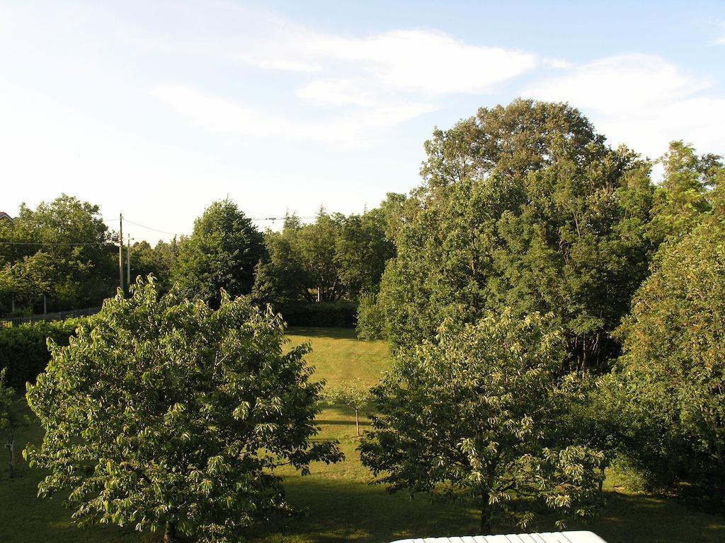 Stirenca B&B Trieste Exterior photo
